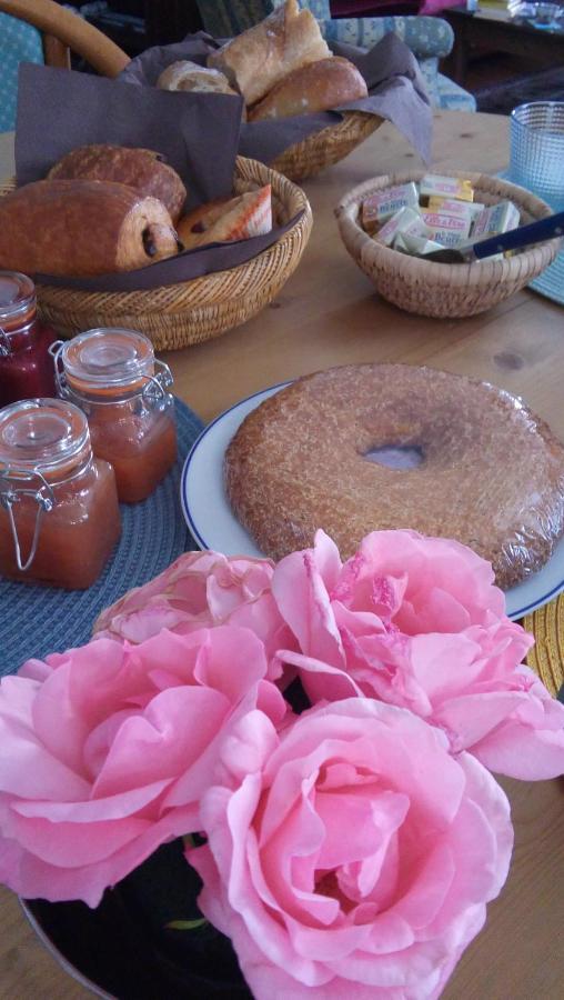 Aux Rosiers Bed & Breakfast Salies-de-Béarn Eksteriør bilde